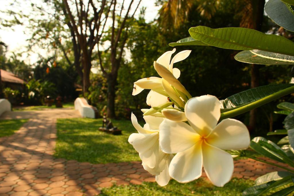 Secret Garden Chiangmai Hotel San Kamphaeng Bagian luar foto